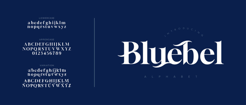 Blue Elegant Font Uppercase Lowercase and Number. Classic Lettering Minimal Fashion Designs. Typography modern serif fonts regular decorative vintage concept. vector illustration