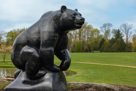 Purchase, NY - US - Apr 28, 2024 David Wynne’s 26 ton Grizzly Bear, carved in Belgian fossil marble. Standing in the Donald M. Kendall Sculpture Gardens at the PepsiCo World Headquarters.