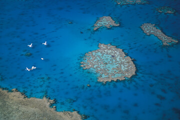 Hardy coral reef on the Great Barrier reef, Queensland, Australia.