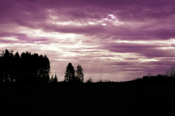 a purple sky with some trees in the foreground and a purple sky with a purple sky behind them,...