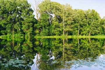A serene city park lake, fringed with lush trees along its shore