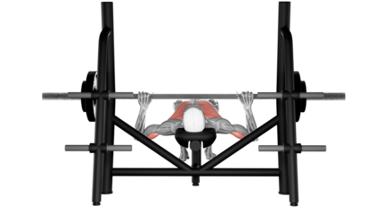 Barbell bench Press - front view - position 2