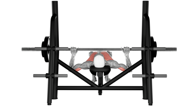 Barbell bench Press - front view - position 2