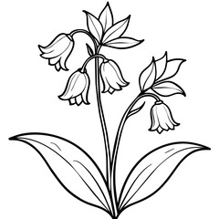 Bluebell flower plant outline illustration coloring book page design, Bluebell flower plant black and white line art drawing coloring book pages for children and adults
