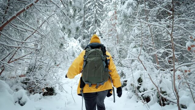 Walking through snow 