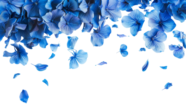  blue flowers and petals