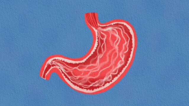 Stomach And Digestive system Background : Cute Hand Painting Illustration with Paper Texture