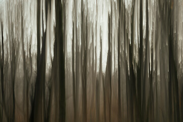 Trees abstract
