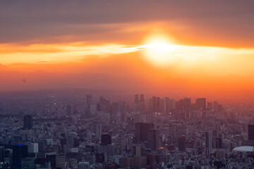 夕日に包まれる東京