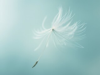 A single dandelion seed caught in soft light, symbolizing tranquility and the beauty of nature.