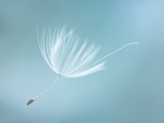 A single dandelion seed caught in a gentle breeze against a soft blue background, symbolizing tranquility and lightness