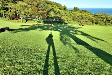 吾妻山公園から望む相模湾と長い影