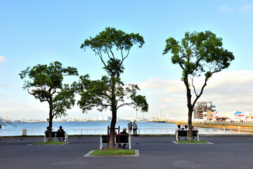 木陰が心地よい横浜山下公園