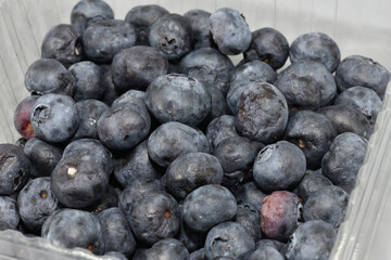 Fresh Blueberries