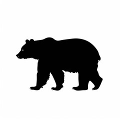 bear silhouette solid black isolated on a white background