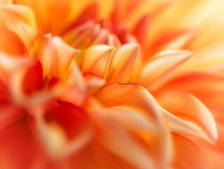 Macro shot of an orange dahlia with a soft focus on its petals, evoking a sense of warmth and beauty.