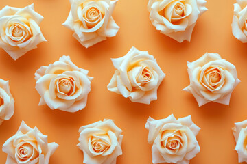 Elegant arrangement of white roses on vibrant orange background creating a stunning floral pattern
