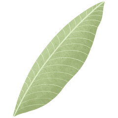 Obraz premium Summer Vacations Drawing Set