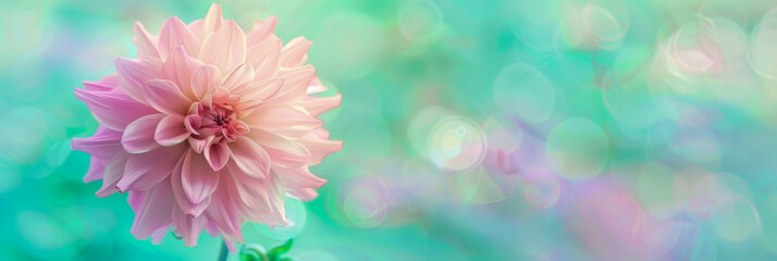 A pink flower with a green background