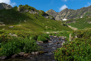 The valley of the Malaya Dukka River on the slopes of the Arkasar ridge in the North Caucasus and the tourist trail to the Dukka Lakes on a sunny summer day, Arkhyz, Karachay-Cherkessia, Russia © Ula Ulachka