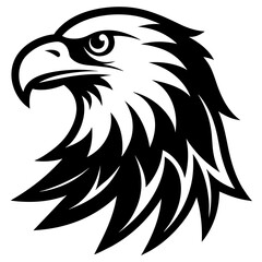 eagle head vector illustration