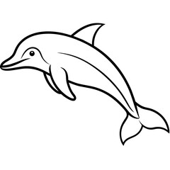 dolphin isolated on white