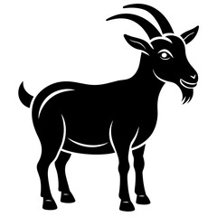 black goat isolated on white