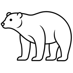 polar bear vector illustration line art