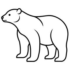 polar bear vector illustration line art