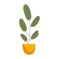 organic flat houseplant on white background