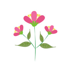Fototapeta premium Flowers