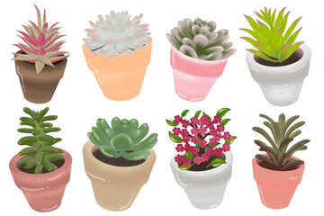 set of cactus in the pot, PNG, transparent background, illustration