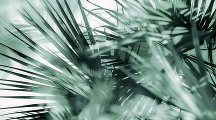 palm leaves in a blurred  green and gray, delicate floral, organic, fluid lines on white background