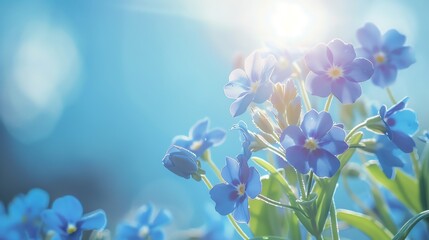 Delicate forgetmenots, soft sky blue background, nature photography magazine cover, gentle morning light, central focus