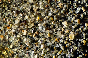 Grains of sand from California, magnified under the microscope