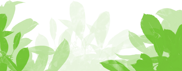 자연의 숨 소리