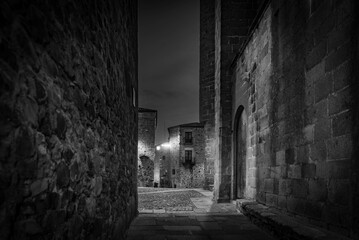 Vista panorámica  del casco histórico de la ciudad española de Cáceres con vistas a los tejados...