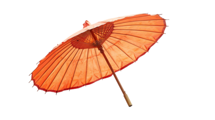 parasol rapphia isolated on transparent background