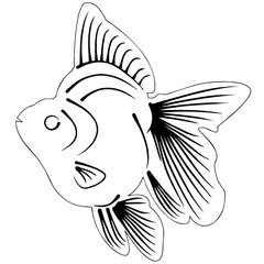 illustration of a fish