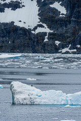Telephoto of a Glacier and melting sea ice near the entrance of the Lemaire Channel, along the Antarctic Peninsula. A Gentoo Penguin -Pygoscelis papua- is standing on an iceberg in the foreground.
