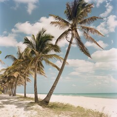 white sand beach, south beach in summer sunny days