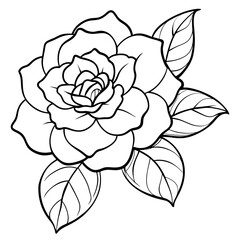 Camellia flower plant outline illustration coloring book page design, 
Camellia flower plant black and white line art drawing coloring book pages for children and adults