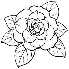 Camellia flower plant outline illustration coloring book page design, 
Camellia flower plant black and white line art drawing coloring book pages for children and adults