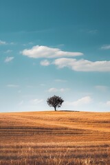 Lone Tree in Vast Wheat Field Amid Tranquil Countryside Landscape