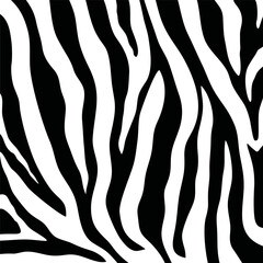 Zebra skin texture. Black and white image. Stylization.