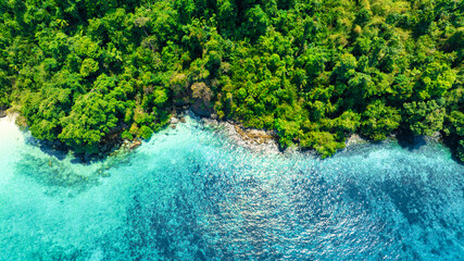 Aerial view of the dark green forest and the sea. Natural ecosystems of forests and oceans. concept of natural forest conservation	