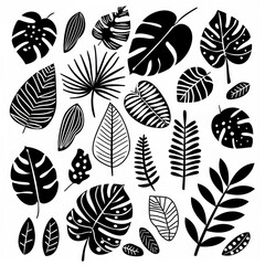 black doodle elements, exotic tropical leaves
