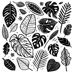 black doodle elements, exotic tropical leaves