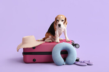 Cute dog sitting on suitcase with travel accessories on lilac background - obrazy, fototapety, plakaty