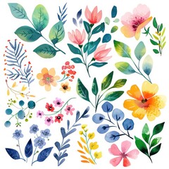 watercolor spring flowers white background